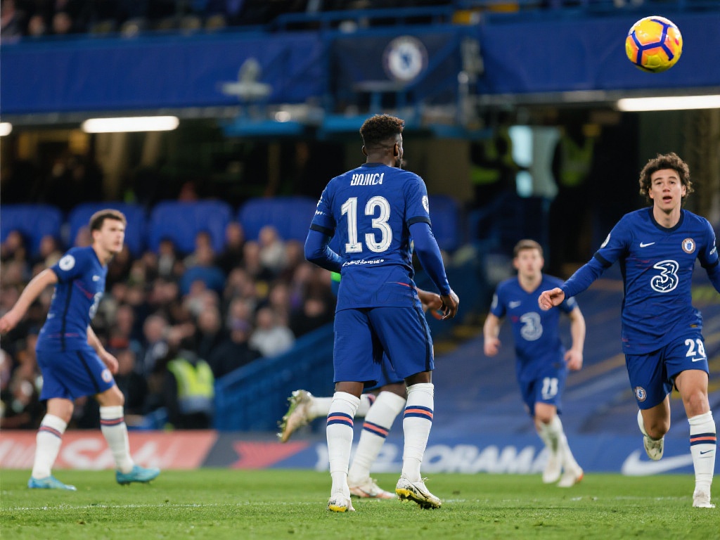 你可以根据 你可以根据